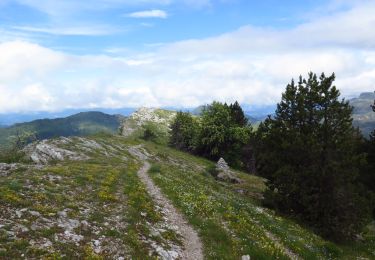 Trail Walking Le Castellard-Mélan - Crêtes de Geruen - Photo