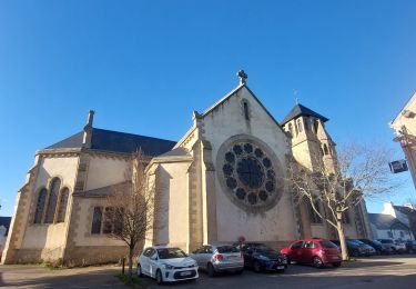 Tocht Stappen Séné - PR_56_Sene_FA_06_Le-Bourg-Et-Ses-Rivages_Circuit3b_20230206 - Photo