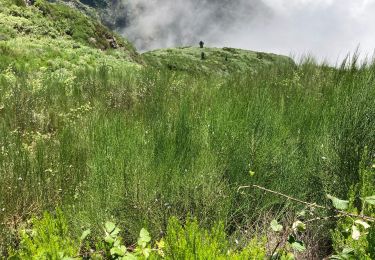 Tour Wandern Canhas - L’évada haute - Photo