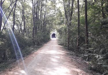 Tocht Fietstoerisme Saint-Maurice-d'Ardèche - 2022 06 Ardeche j2/6 - Photo