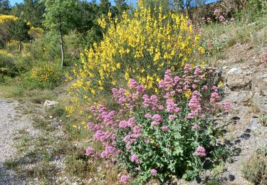 Trail Walking Aubignosc - AUBIGNOSC,  les canyons circuit court o l - Photo