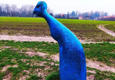 Percorso Marcia Ellezelles - Le sentier de l’étrange à Ellezelles  - Photo