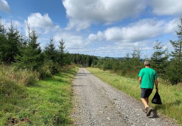 Trail Walking La Roche-en-Ardenne - 15km vers d’origine - Photo