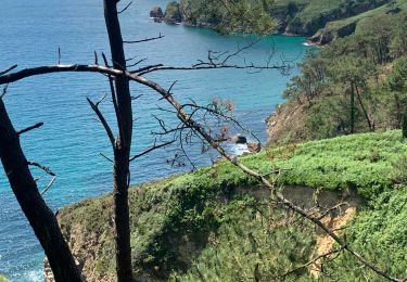 Tour Wandern Crozon - Cap de la Chèvre  - Photo