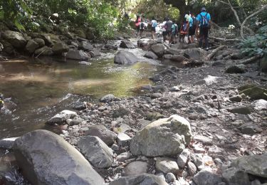 Tocht Stappen Fonds-Saint-Denis - Remontez de la petite rivière du Carbet -Cacade tobogant - Photo