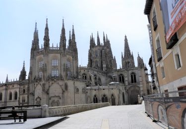 Excursión Senderismo Arlanzón - 23.04.18 Agés--Burgos - Photo