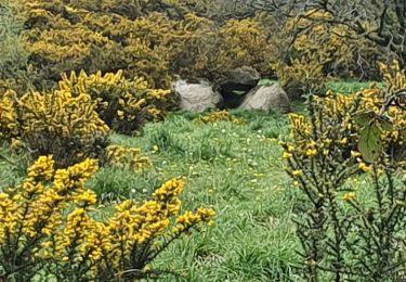 Tour Wandern Kerien - calvaires er chaos - Photo