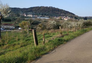 Percorso Bici da strada Saulny - semecourt - Photo