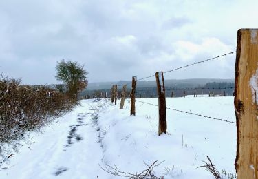 Tour Wandern Spa - Sommets enneigés de Creppe - Photo