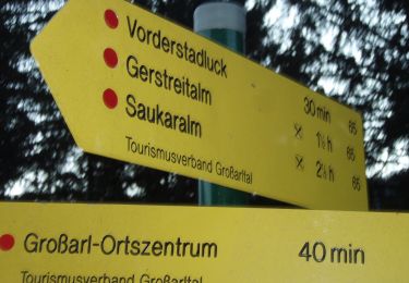 Trail On foot Großarl - Wanderweg 65 - Photo