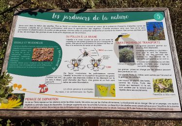 Randonnée Marche Seillons-Source-d'Argens - SEILLONS SUR ARGENS - SOURCE DE L'ARGENS - Photo