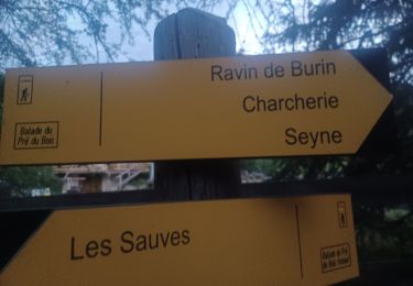 Trail On foot Verdaches - VERDACHES  . BALADE DU PRE DES BOIS O L M S - Photo