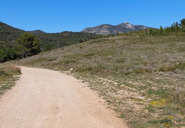 Trail Walking Saint-Saturnin-de-Lucian - rochers des vierges et canyon du diable - Photo