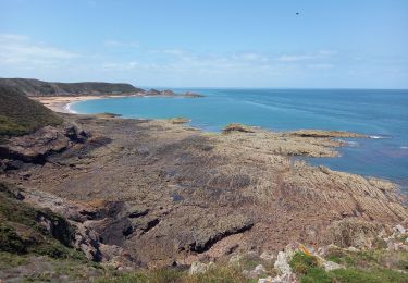 Randonnée Marche Erquy - Cap d'Erquy 3.7.23 - Photo