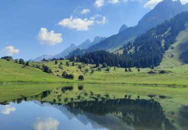Percorso Marcia La Clusaz - la clusaz lac des confins - Photo