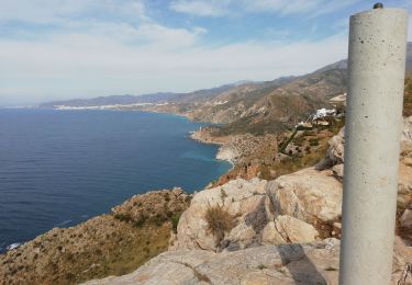 Trail Walking Almuñécar - Cerro Gordo 2 - Photo