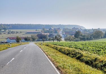 Excursión A pie Eichenbühl - Rundwanderweg Eichenbühl Guggenberger Höhe 3: Scheidberg-Weg - Photo