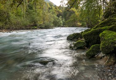 Excursión A pie Preddvor - Panoramska pot pod Javorovim vrhom - Photo