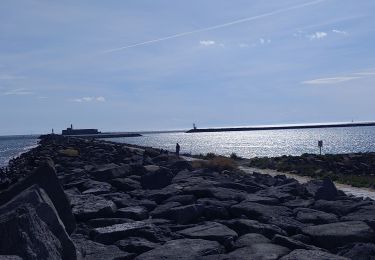 Tocht Stappen Agde - Cap d'Agde - Photo