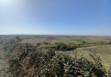 Tour Wandern Saint-Fort-sur-Gironde - st fort 2 - Photo