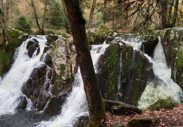 Percorso Marcia Gerbamont - cascadu bouchot vosges - Photo