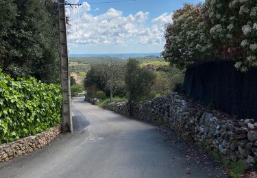 Randonnée Marche Faugères - Faugeres / pic de Tantajo / la Caumette - Photo