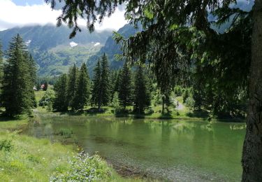 Trail Walking Livet-et-Gavet - lac pour sillet 2023 - Photo