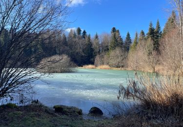 Randonnée Marche Chaux-des-Crotenay - Autour du plateau de chaux des Crotenay - Photo