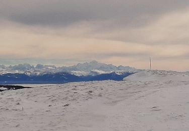 Trail Snowshoes Longevilles-Mont-d'Or - Le Mont d'or  Super Longevilles - Photo