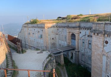 Randonnée Marche Aspremont - Aspremont tour du Mont Chauve, montée au fort. - Photo