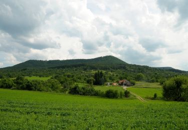 Tocht Te voet Mössingen - Dreifürstensteig - Photo