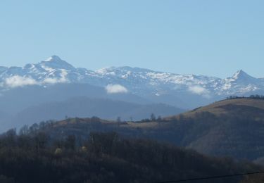 Randonnée Marche Esquiule - G3-ESQUIULE-Sommet de Cambilhou TC - Photo
