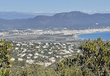 Randonnée Marche Roquebrune-sur-Argens - les petites maures Roquebrume s Argens - Photo