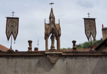 Randonnée Marche Valfleury - Valfleury - Découverte de ce petit Lourdes et de ses environs - Photo