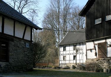 Tour Zu Fuß Nideggen - Rundweg 7 Simonskall - Photo