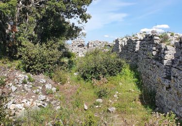 Tour Wandern Rougiers - Rougiers  - Photo