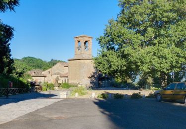 Trail On foot Ponte Nizza - IT-146 - Photo