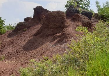 Tour Wandern Royat - Montaudoux Gravenoire_T - Photo