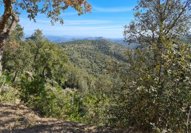 Tocht Mountainbike Les Arcs-sur-Argens - castel diol  mined terriers - Photo