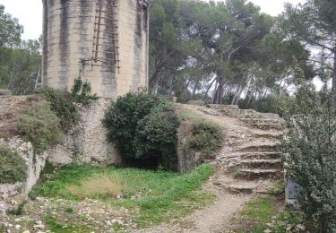 Trail Walking Barbentane - Barbentane - Saint Marthe - Photo