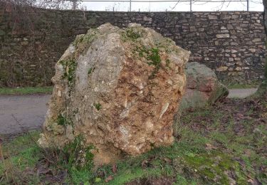 Percorso A piedi Geisenheim - Geisenheimer Rundweg K - Photo