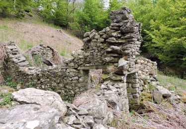 Percorso A piedi Vernio - (SI L11) Montepiano - Cascina di Spedaletto - Photo