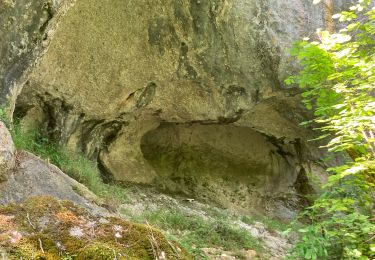 Trail sport Cremps - CLOS DEL MAS - Photo