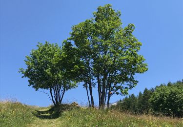 Trail Walking Saint-Michel-de-Maurienne - St Marguerite depuis La Traversaz  - Photo