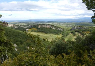 Trail Walking Buoux - SityTrail - 2428982 - grp-luberon-tour-des-clapaedes-42km - Photo