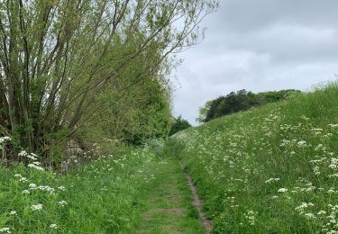 Tocht Stappen Knokke-Heist - Knokke Het Zoute - Zwin (circ 13km) - Photo