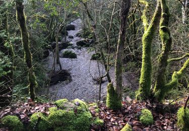 Excursión Senderismo Sauclières - Sauciers le causse de campestre  - Photo