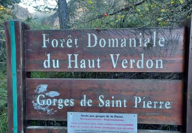 Trail Walking Beauvezer - VILLARS HEYSSIER . GORGES DE SAINT PIERRE O - Photo