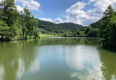 Excursión Senderismo Le Val-d'Ajol - Le Breuil - Hérival  - Photo