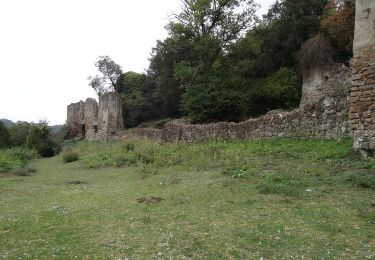 Trail On foot Canale Monterano - Ara del Tufo - Photo